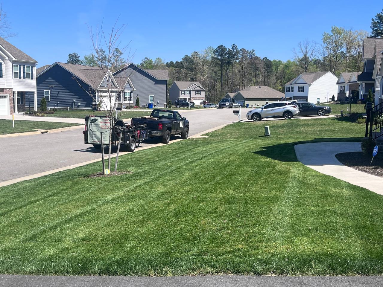 Freshly mowed green lawn in Metro Richmond