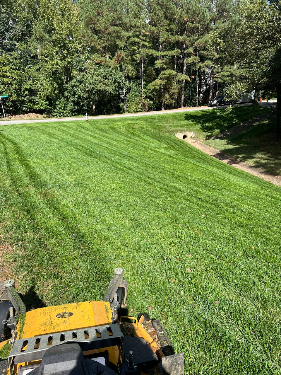 Perfectly striped large lawn freshly mowed in Metro Richmond