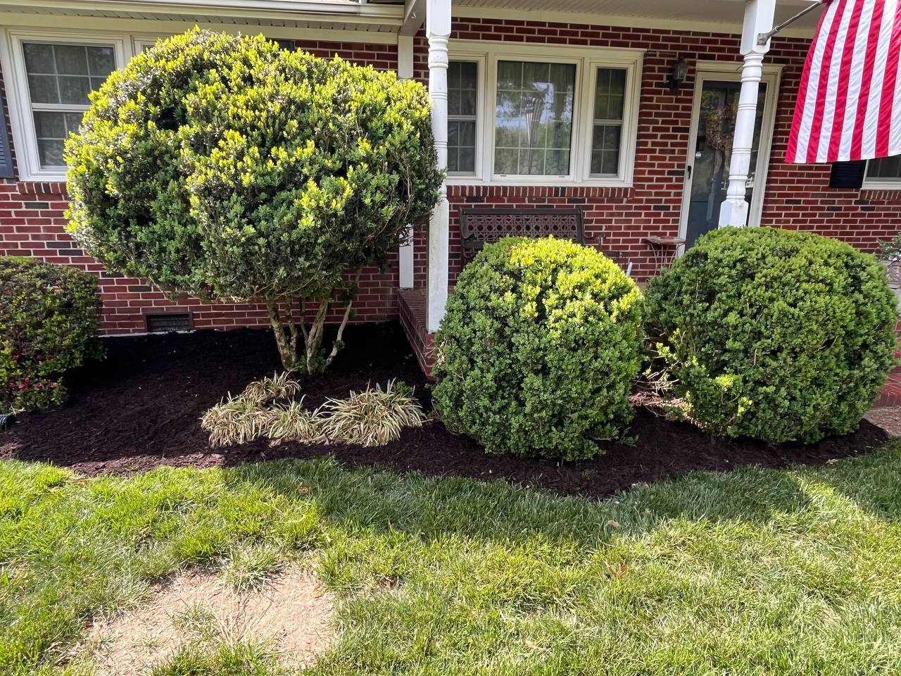 Fresh dark mulch installed around neatly trimmed shrubs