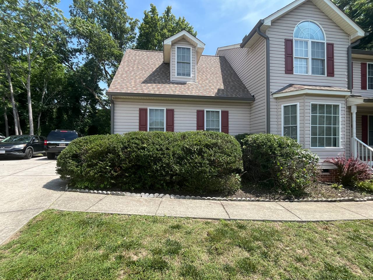 Neatly shaped shrubs after trimming service